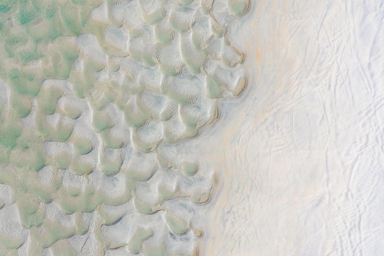 Ebb-Dunedin Exteriör bild Satellite image